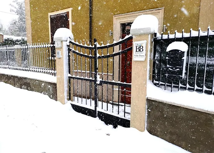 Oda ve Kahvaltı Diana